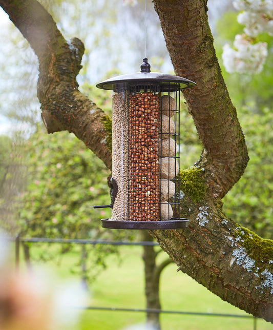 Tom Chambers Trinity Bird Feeder