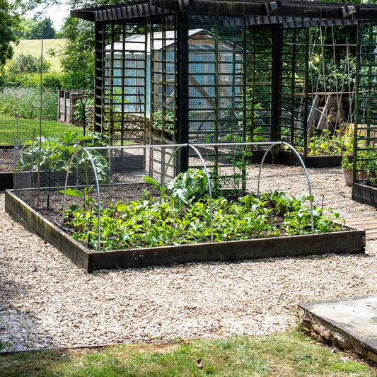 Mainframe Cloche Curves 1m x 40cm