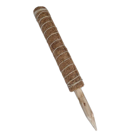 Grower's Choice Coir Climbing Poles (Houseplant support)