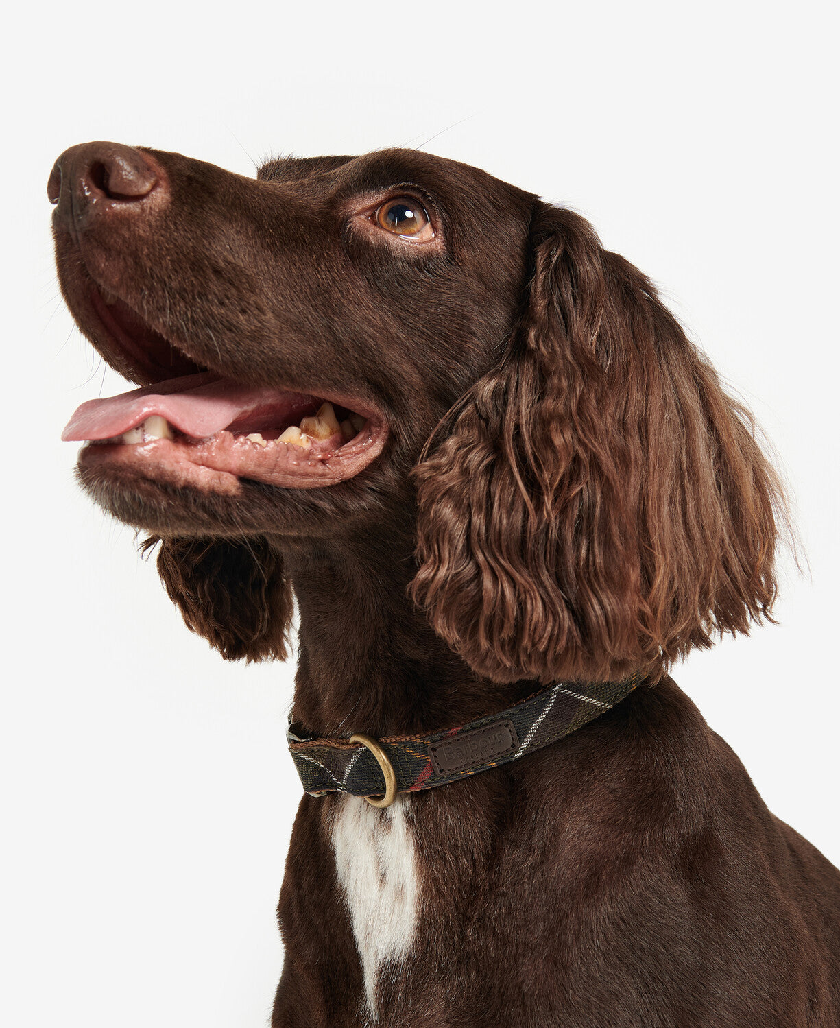 Barbour Tartan Webbing Dog Collar