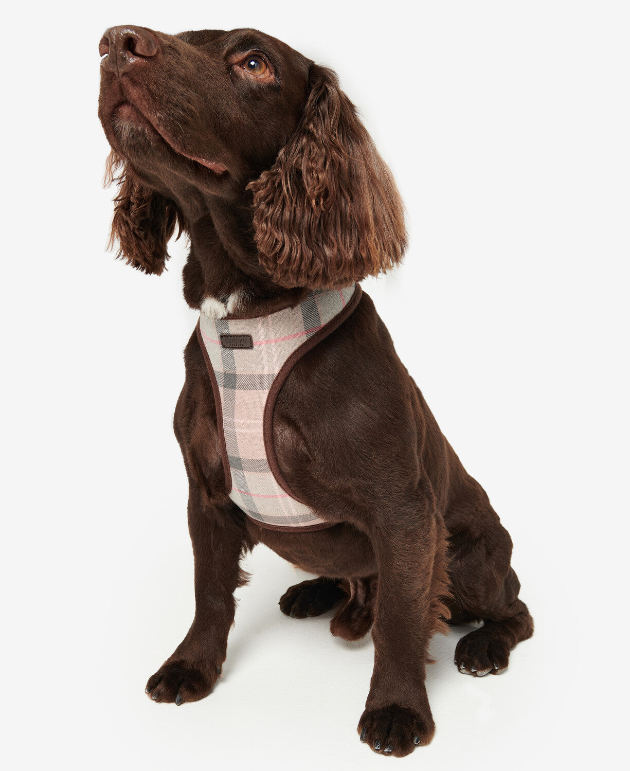 Barbour Tartan Dog Harness