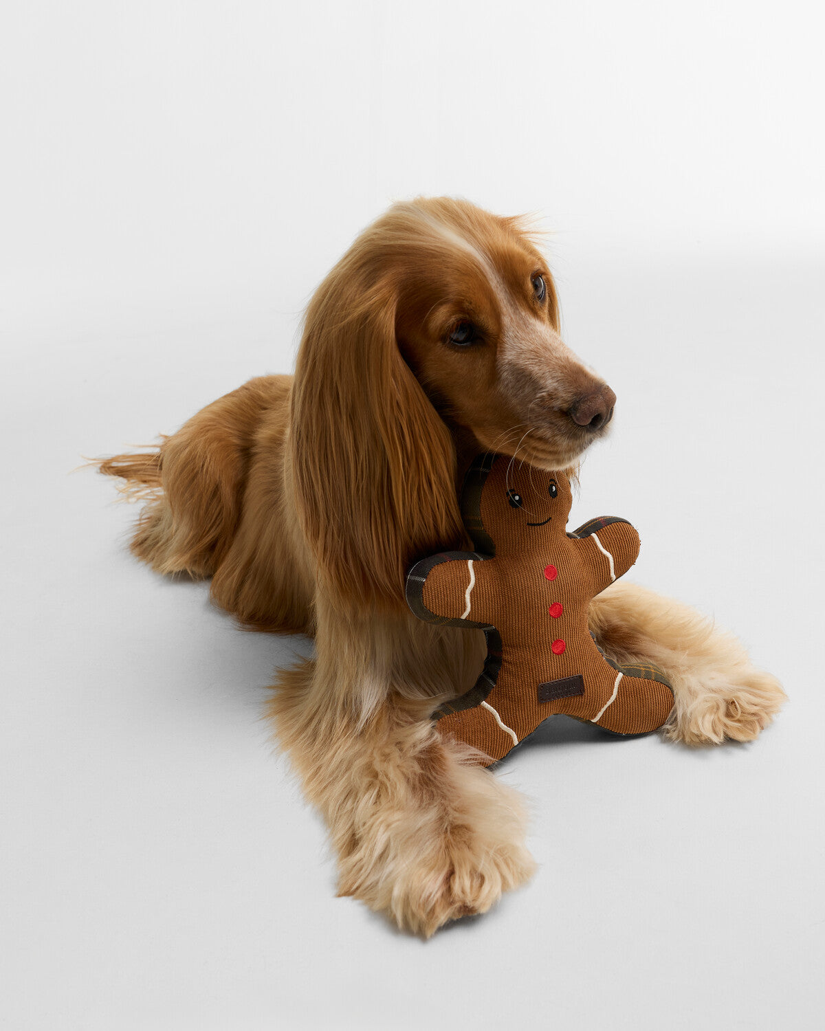 Barbour Christmas Gingerbread Dog Toy
