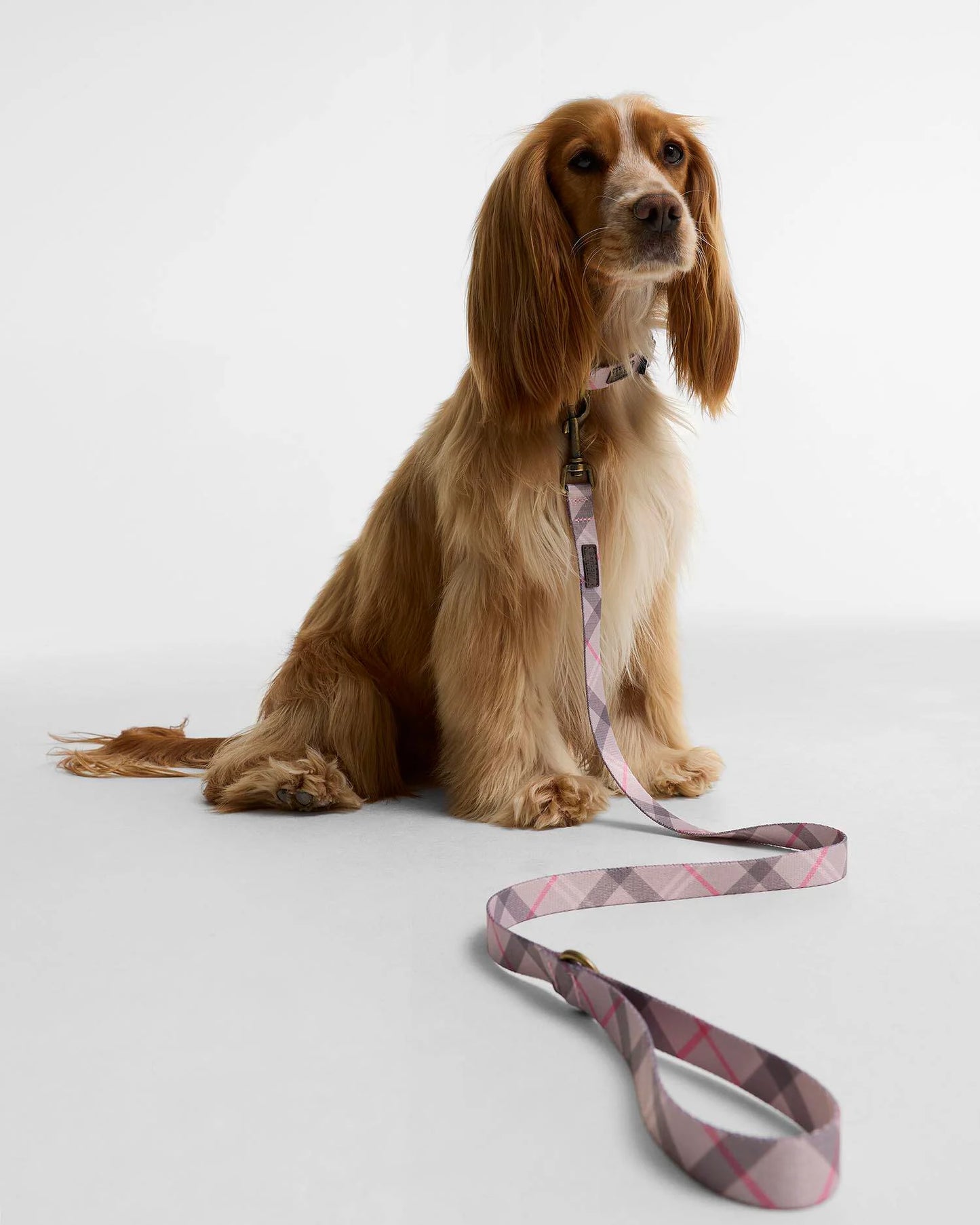 Barbour Tartan Printed Dog Lead in pink tartan, featuring an aged brass-effect clip fastening and a branded badge.