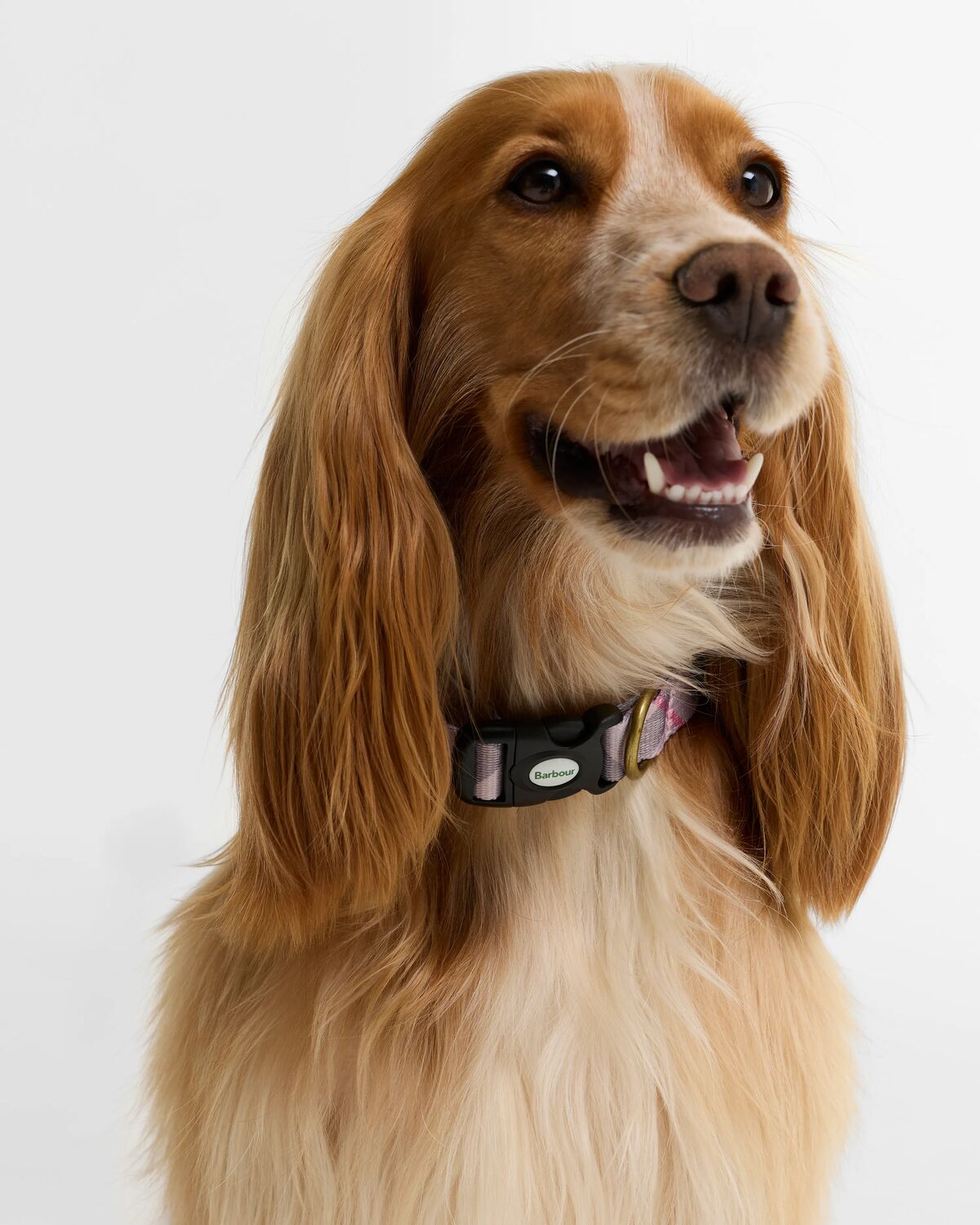 Barbour Tartan Printed Dog Collar featuring classic Barbour tartan pattern, an aged brass-effect D-ring and branded clip fastening.