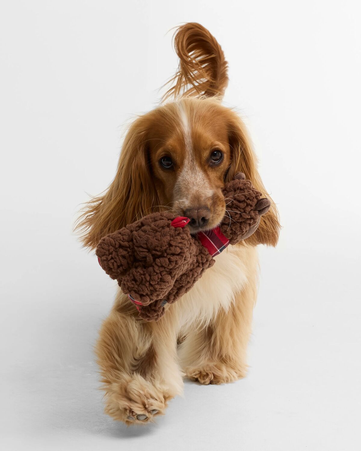 Barbour Christmas Llama Dog Toy