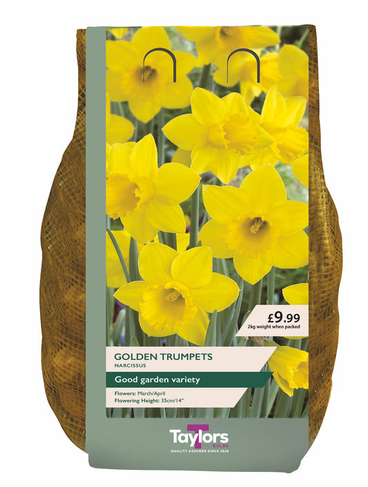 Taylors Bulbs Narcissus Golden Trumpets 2kg Carripack retail pack showing a dense group of bright golden-yellow trumpet daffodils blooming on strong stems.