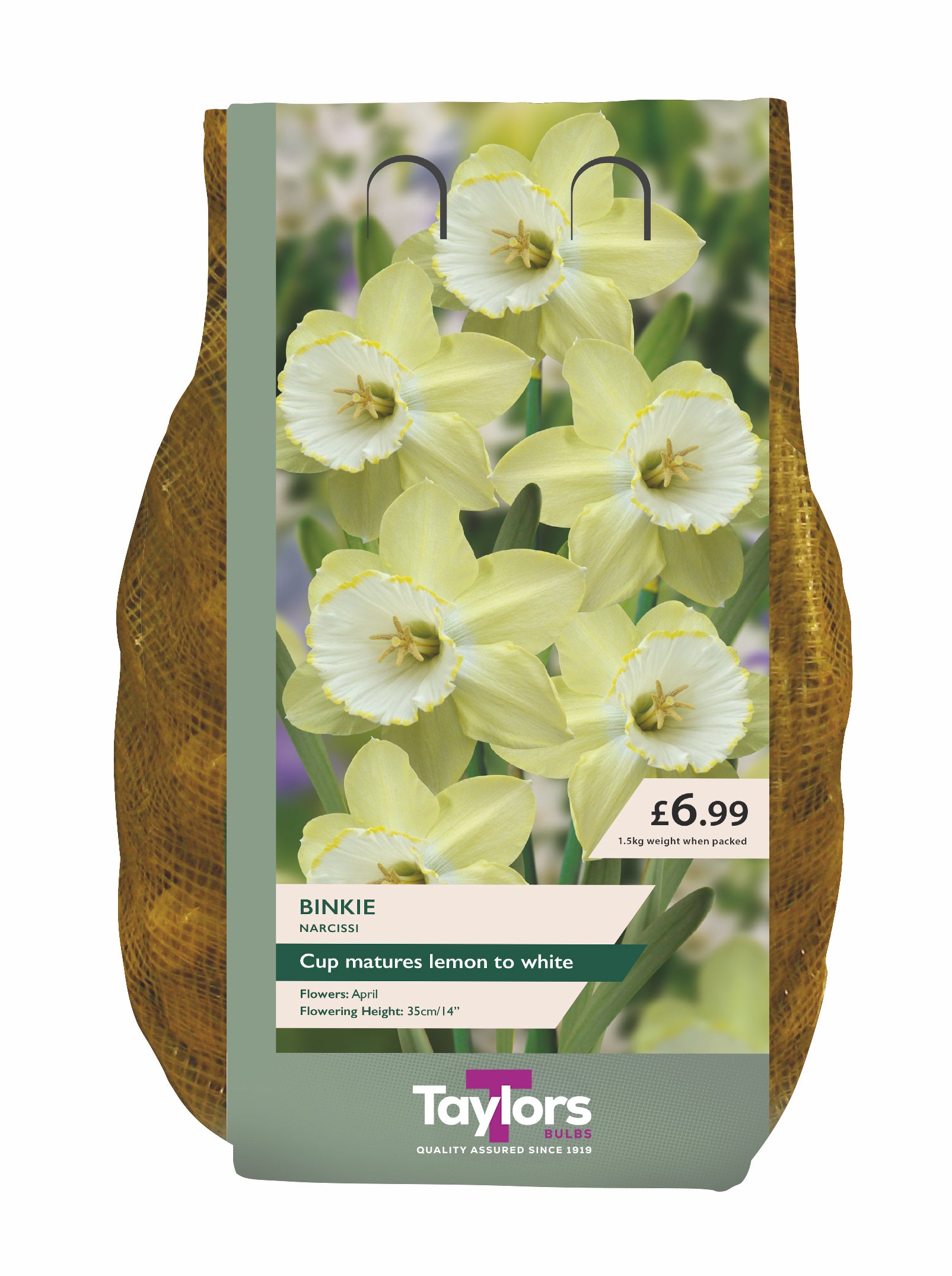 Narcissi Binkie Carri-Pack 2Kg