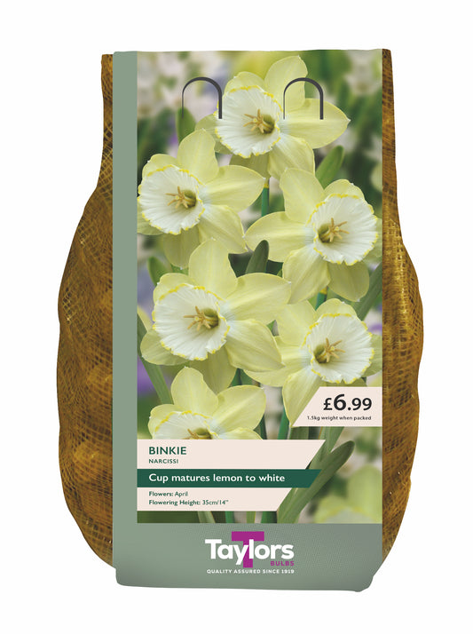 Narcissi Binkie Carri-Pack 2Kg
