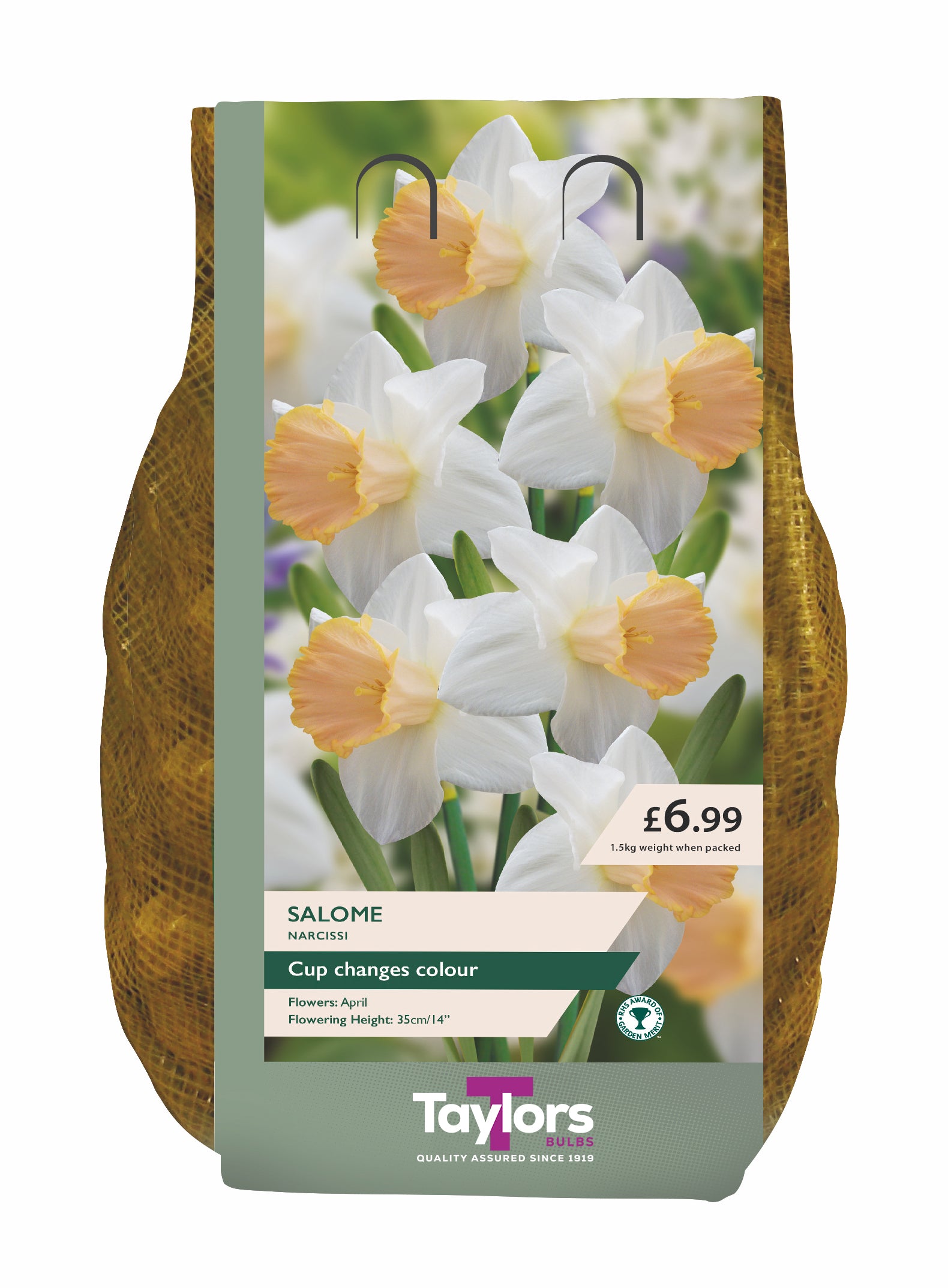 Narcissi Salome Carri-Pack