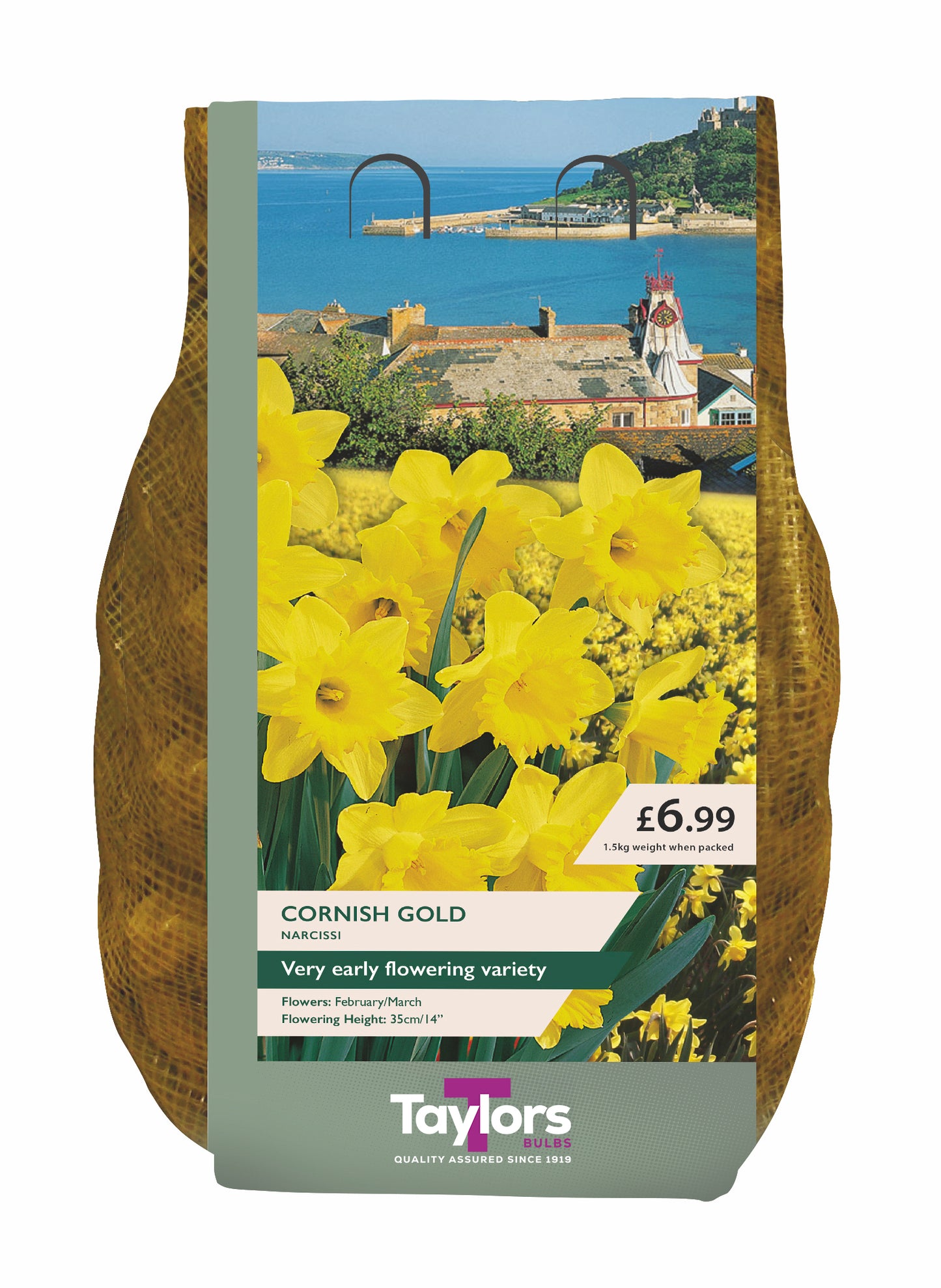 Narcissi Cornish Gold Carri-Pack