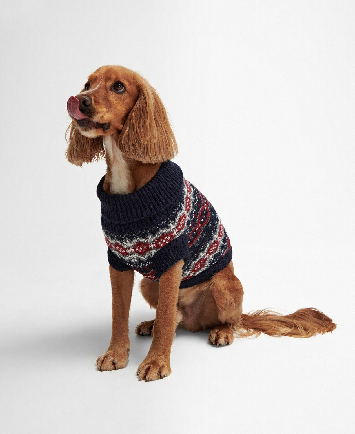 Barbour Case Fairisle Dog Jumper