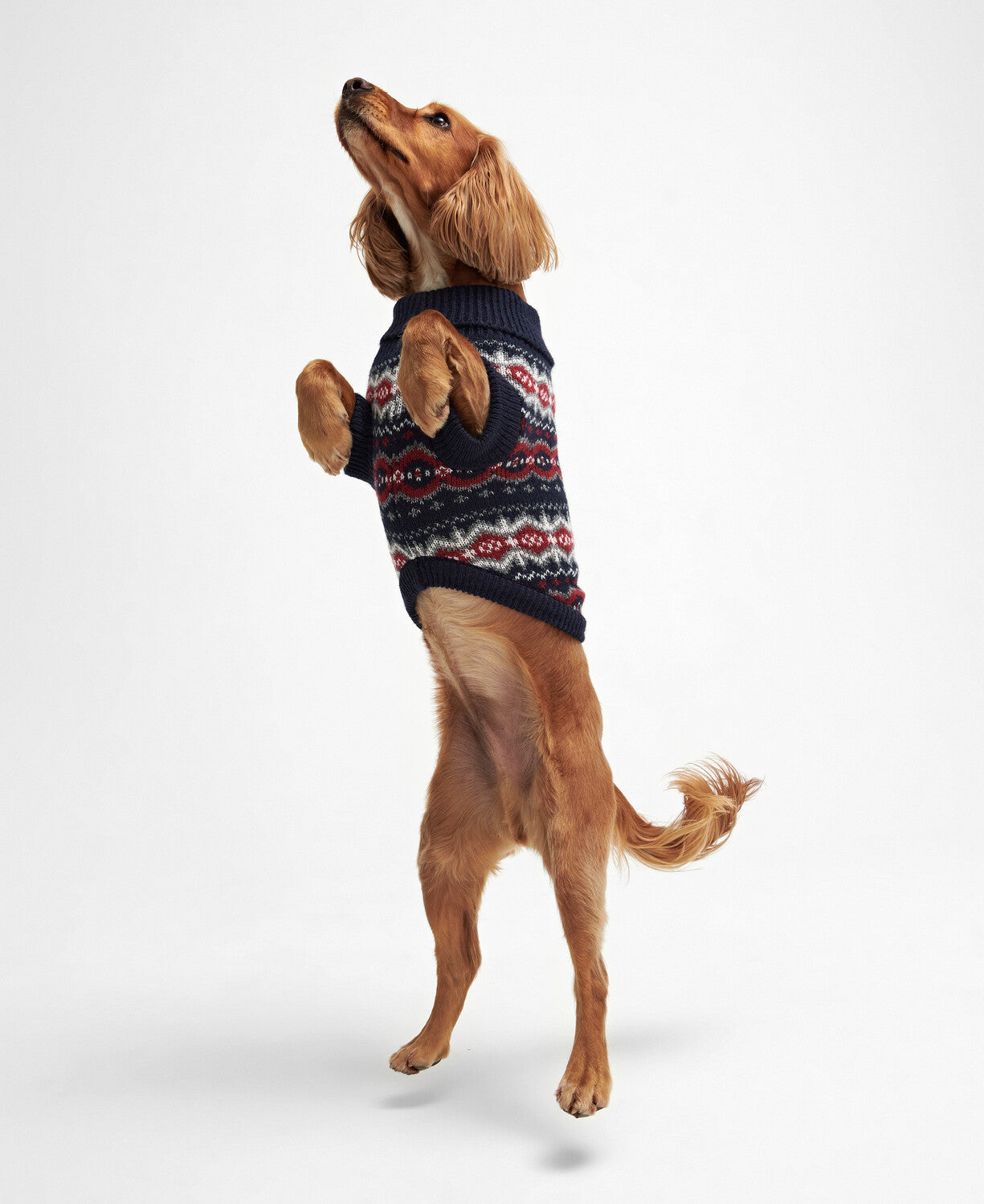 Barbour Case Fairisle Dog Jumper