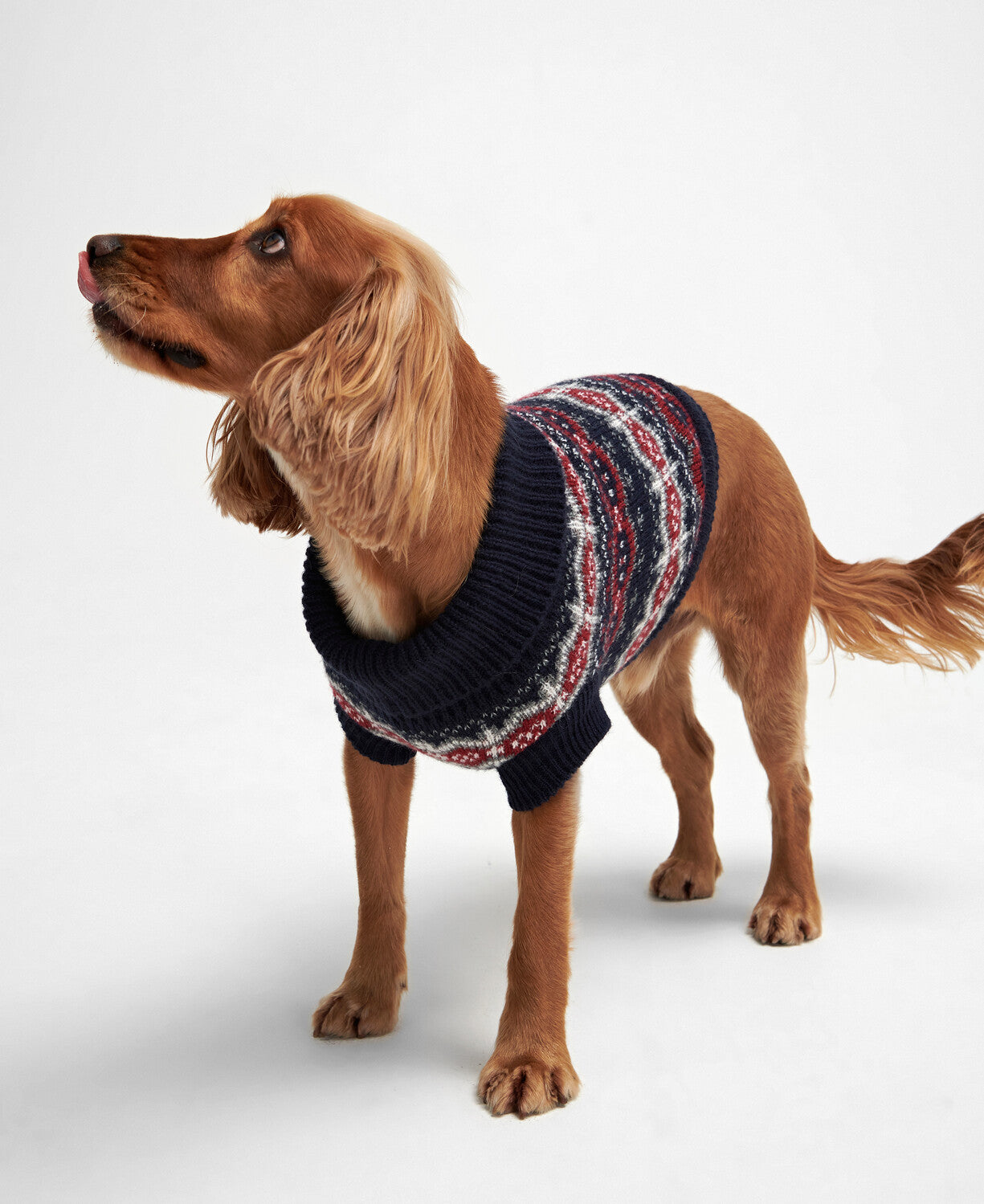 Barbour Case Fairisle Dog Jumper