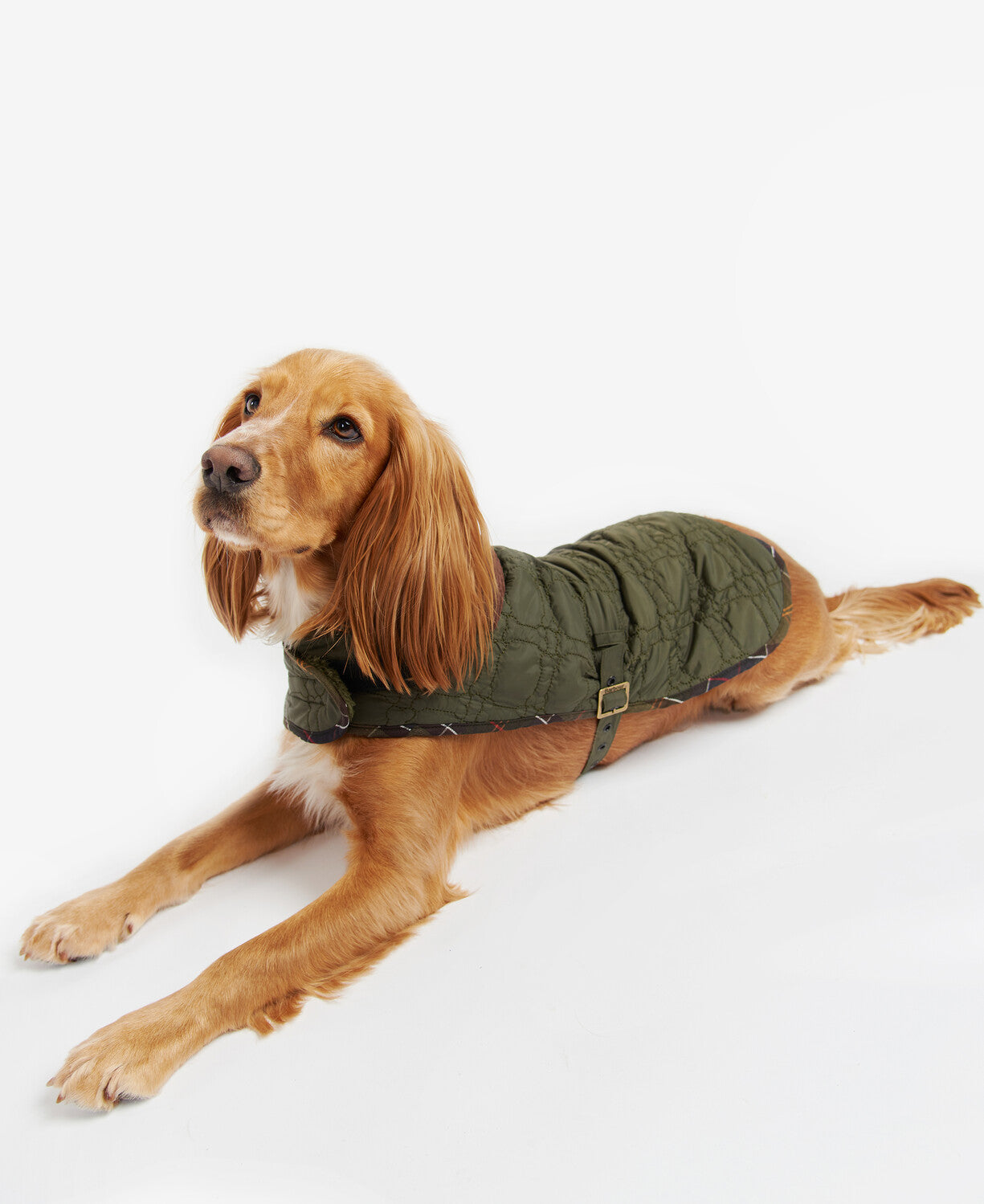 Barbour Dog Bone Quilted Dog Coat