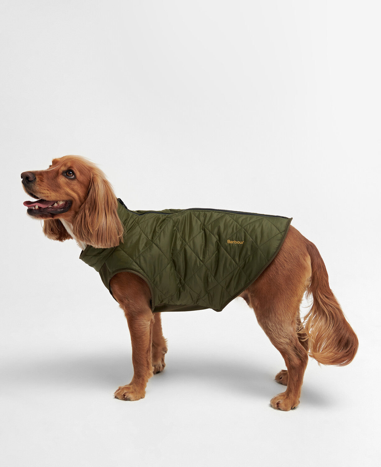 Green Barbour Reversible Quilted Dog Coat featuring classic diamond quilting, a black fleece reverse and an embroidered logo.