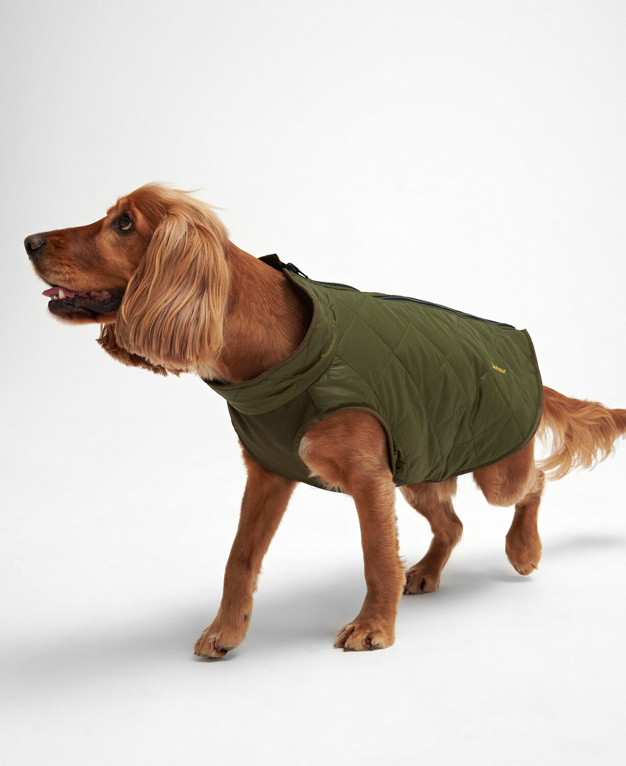 Barbour Reversible Quilted Dog Coat