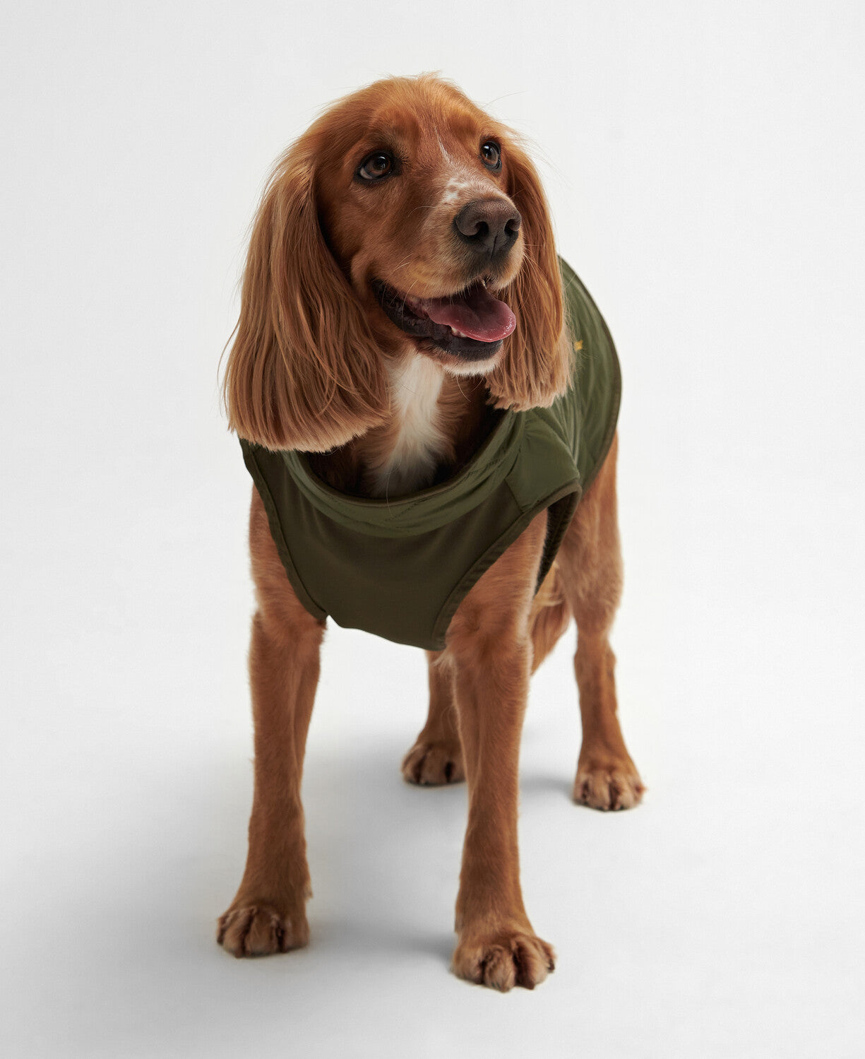 Barbour Reversible Quilted Dog Coat