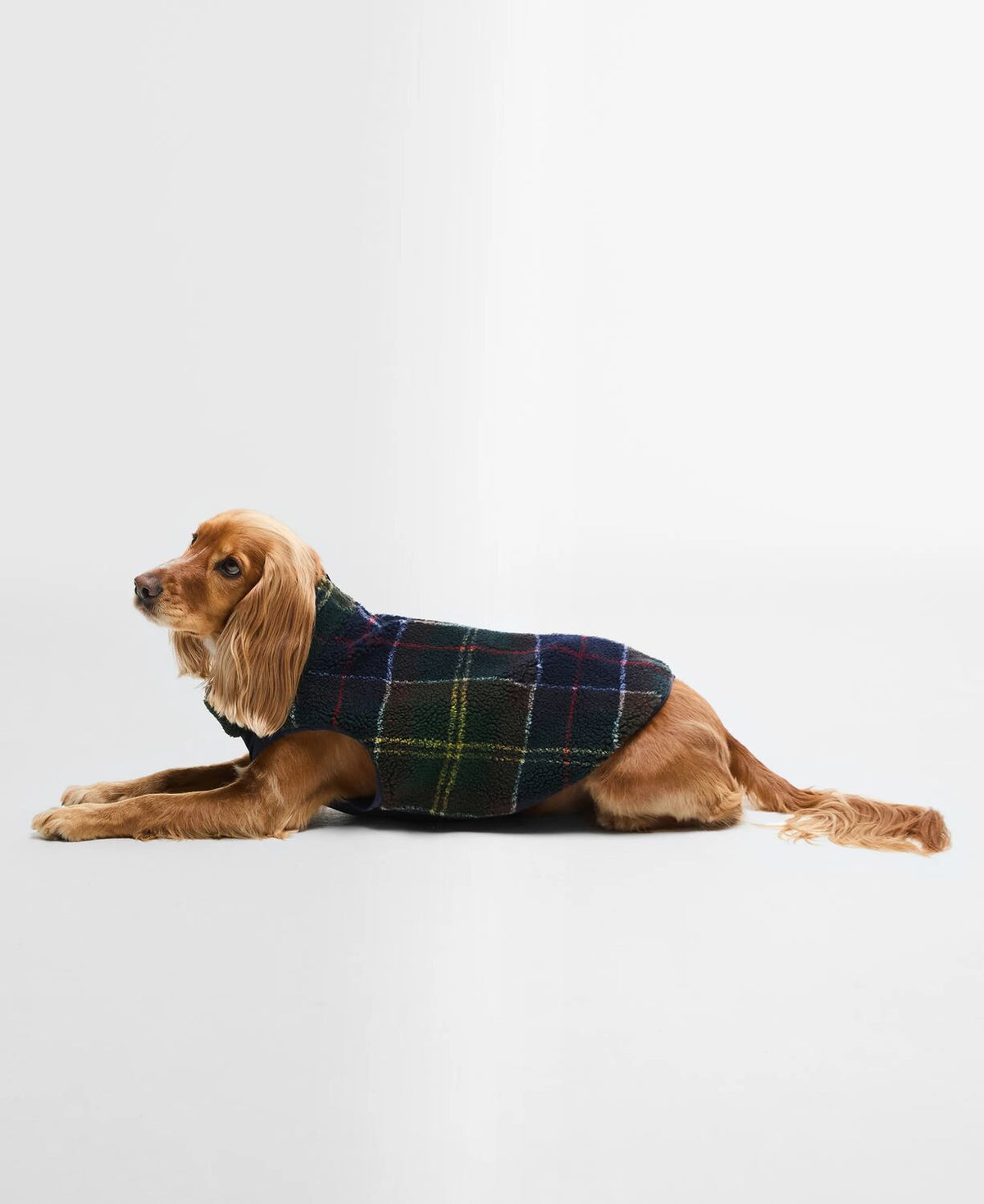 Barbour Field Reversible Dog Quilted Coat