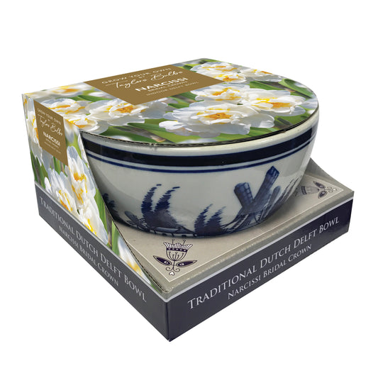 Taylors Bulbs Indoor Delft Bowl Narcissus Bridal Crown Daffodil Set