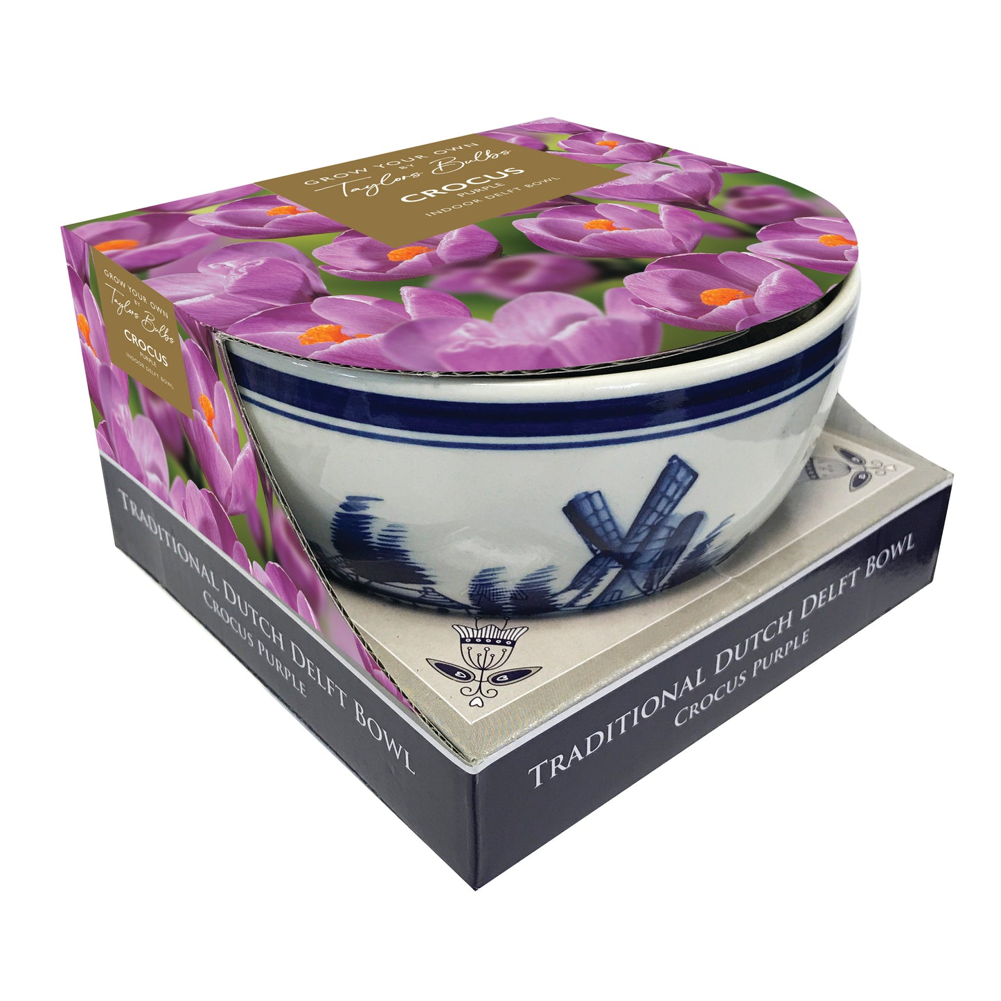 Taylors Bulbs Indoor Delft Bowl Purple Crocus Set