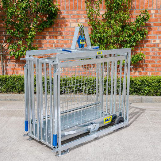IAE Digital Lamb Weigher