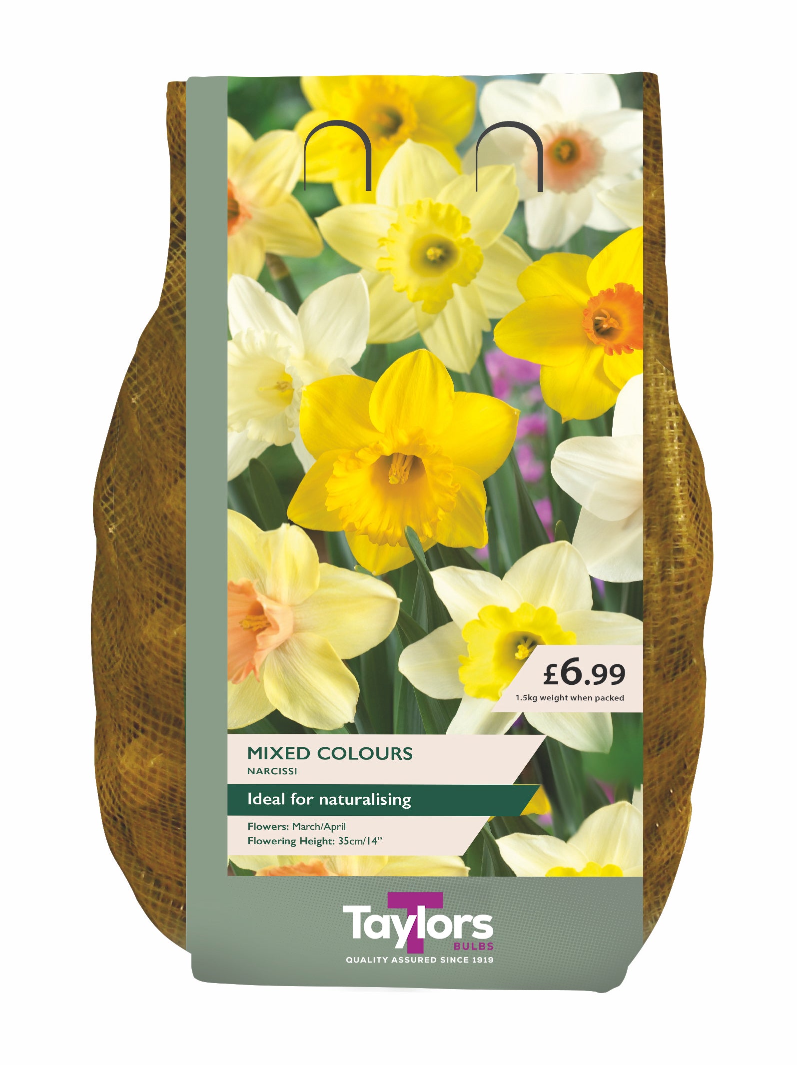 Narcissi Mixed Carri-Pack 1.5kg