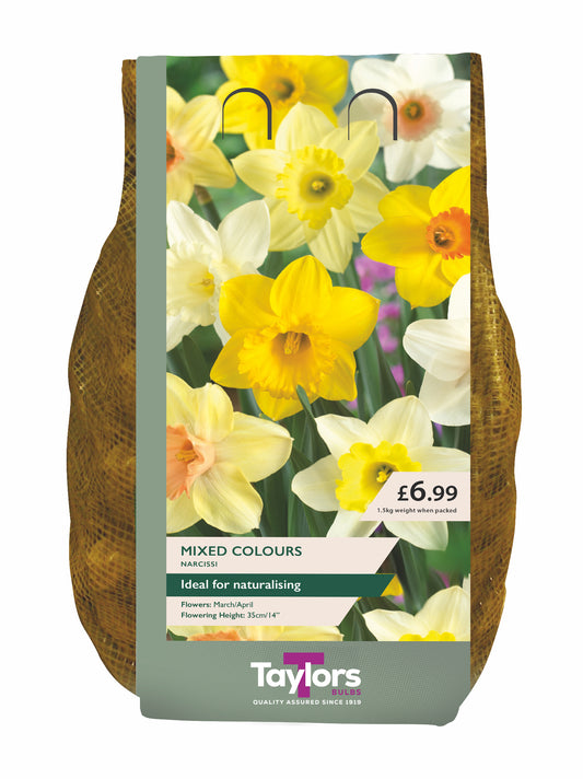 Narcissi Mixed Carri-Pack 1.5kg