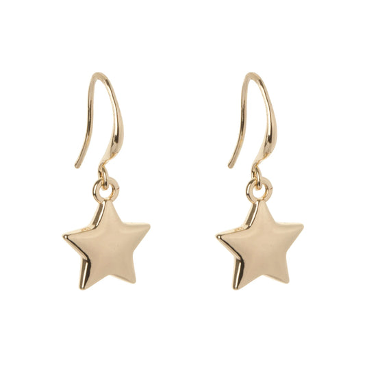 D&X Emily Star Hook Earrings