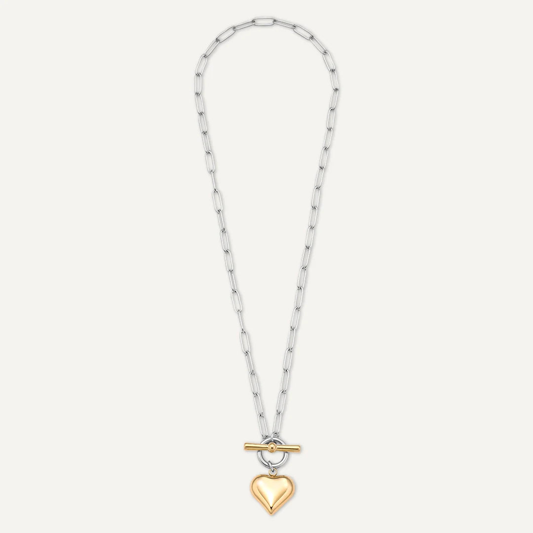 D&X Heart Charm Gold & White Gold Plated T-Bar Necklace