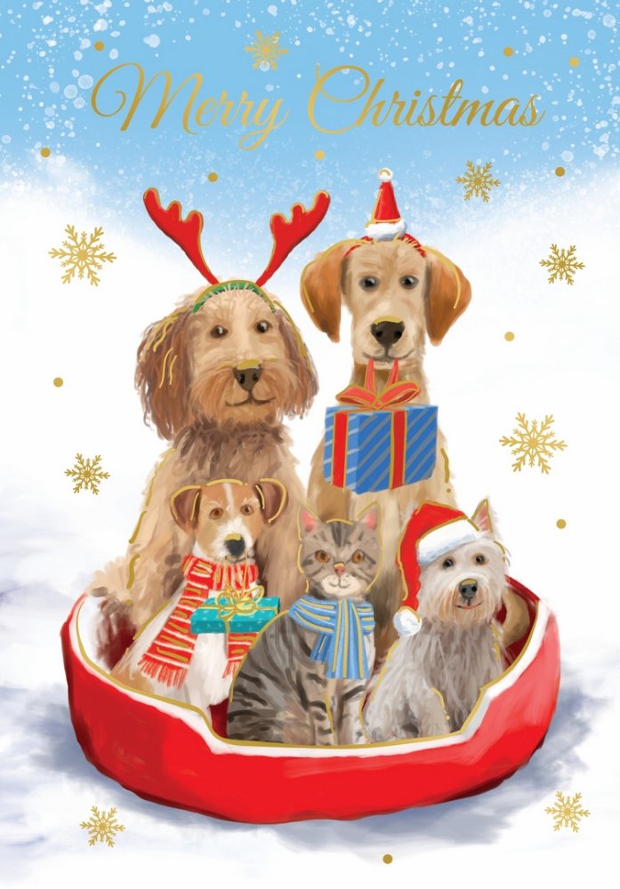 Design Group Giftmaker Traditional Pet Portrait Christmas Cards Pack of 10