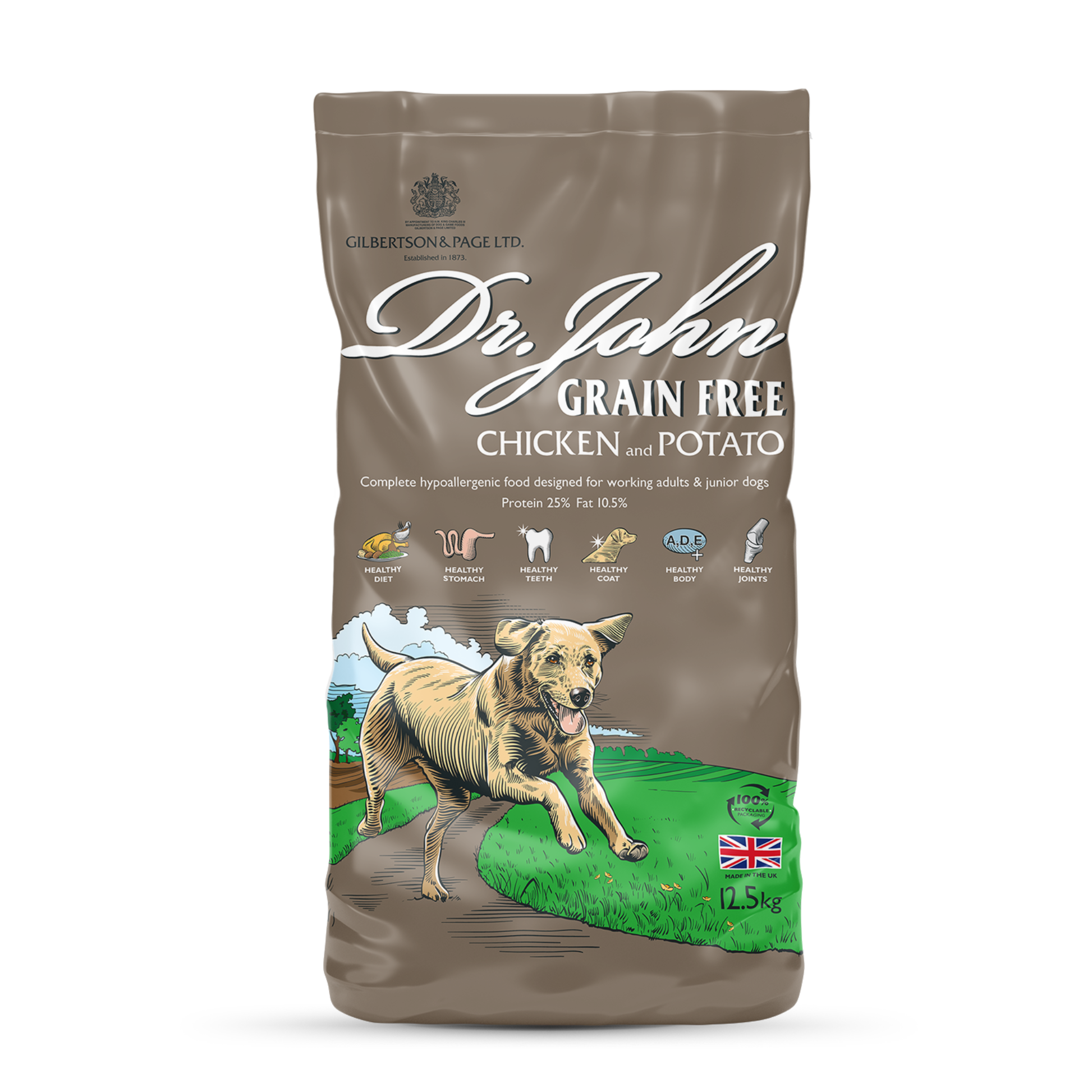 Dr John Grain Free Dog Food Chicken & Potato 2kg