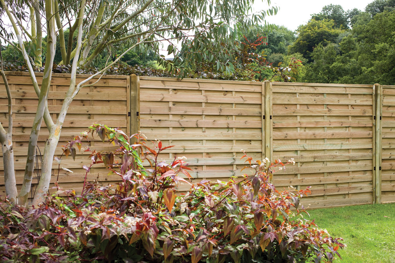 Forest Garden Pressure Treated Decorative Europa Plain Fence Panel