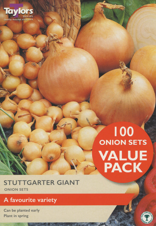 Taylors Bulbs Stuttgarter Giant Onion Value Pack
