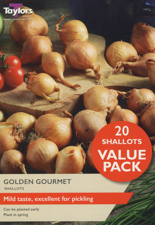 Taylors Bulbs Golden Gourmet Shallots Value Pack