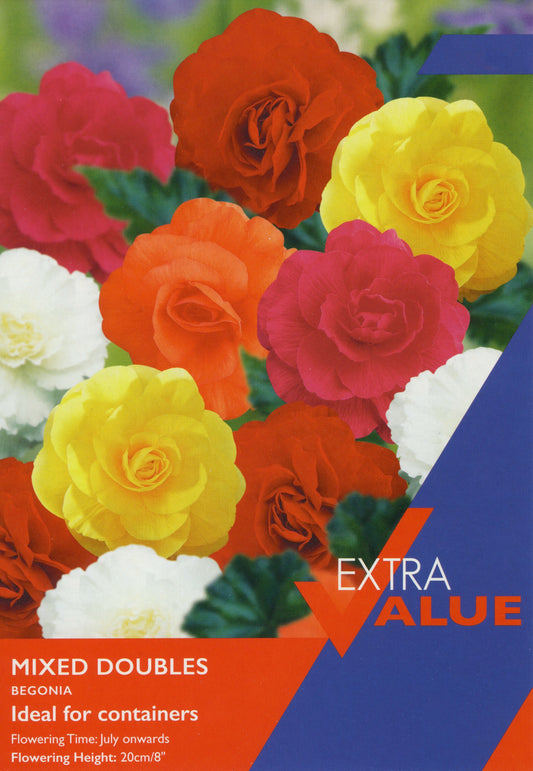 Taylors Bulbs Mixed Double Begonias