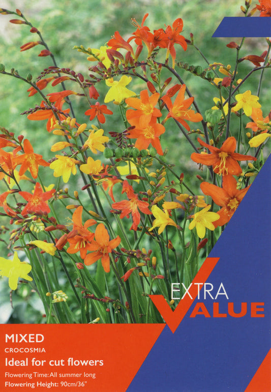 Taylors Bulbs Mixed Crocosmia