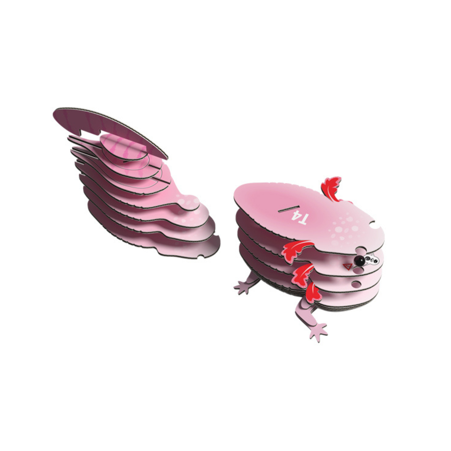 EUGY Axolotl 3D Card Model Kit