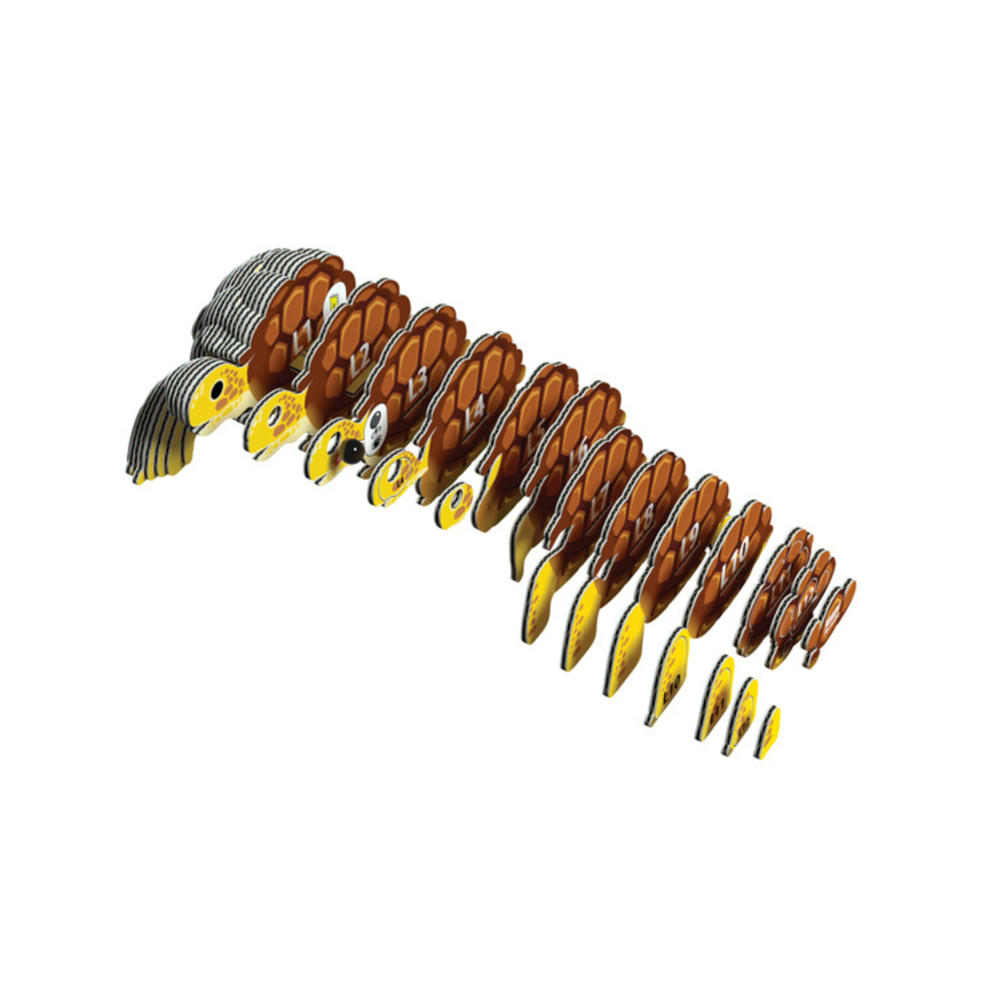 EUGY Tortoise 3D Card Model Kit