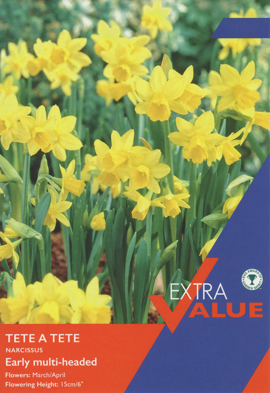 Pre Packs Narcissi Tete A Tete Ev