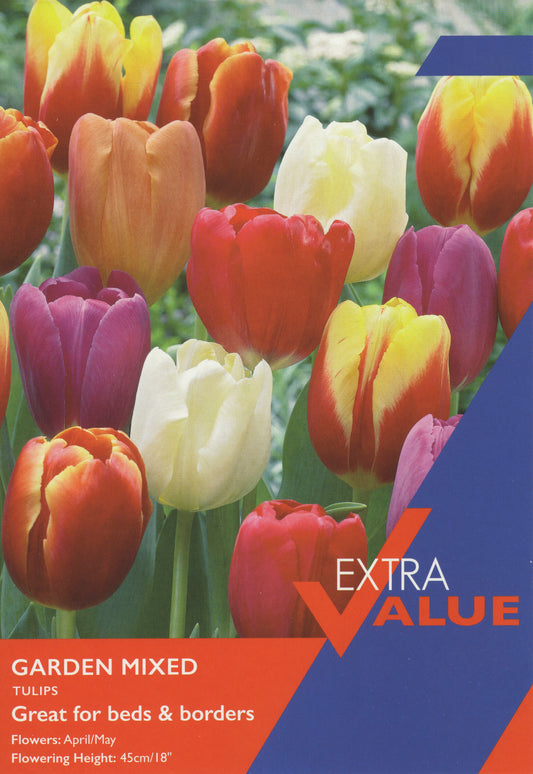 Taylors Bulbs Extra Value Garden Mixed Tulips
