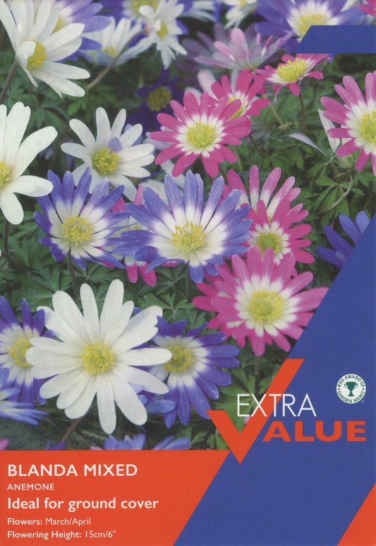 Taylors Bulbs Anemone Blanda Mixed Extra Value Pack retail pack showing a dense carpet of daisy-like blue, pink, and white spring flowers with bright yellow centres.