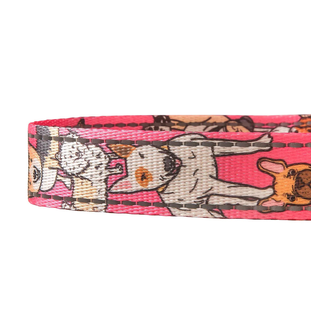 Eco Chic Dogs Pink Dog Lead