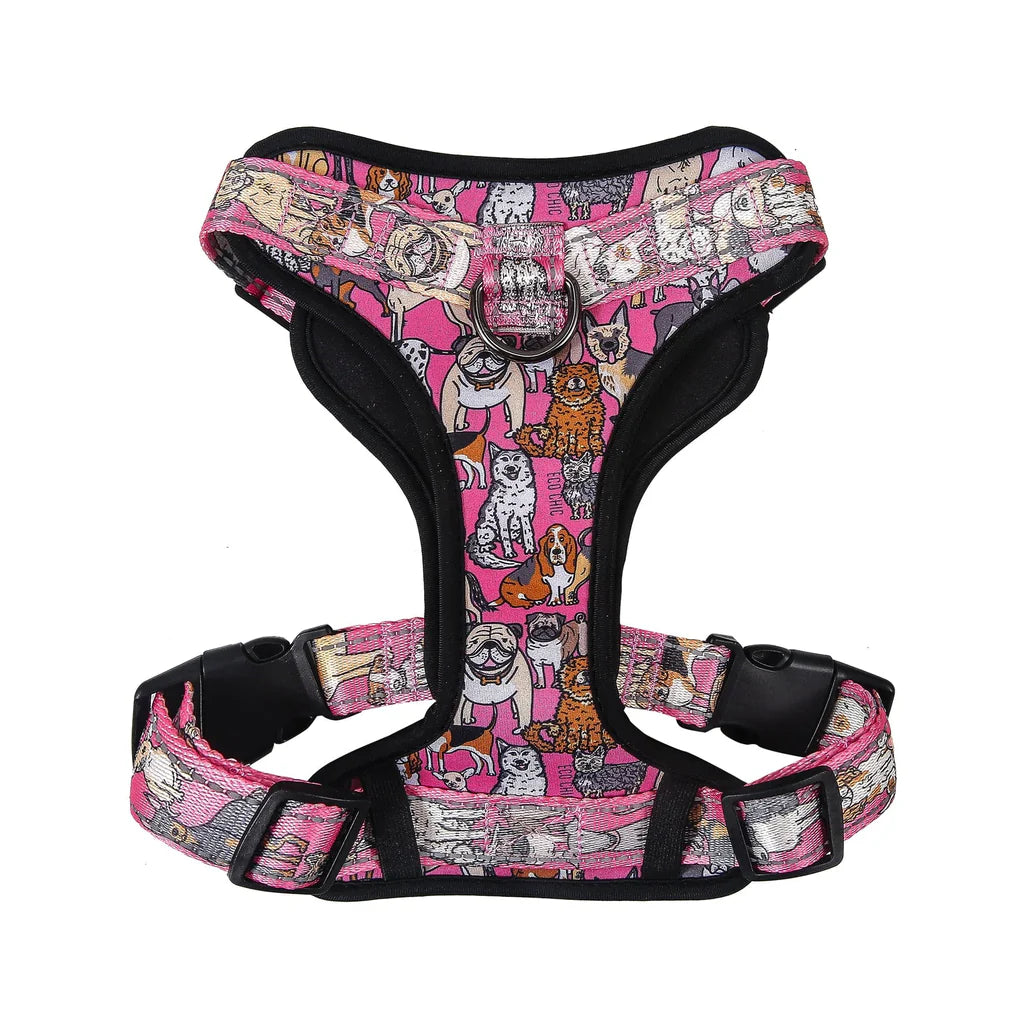 Eco Chic Pink Dogs Dog Harness