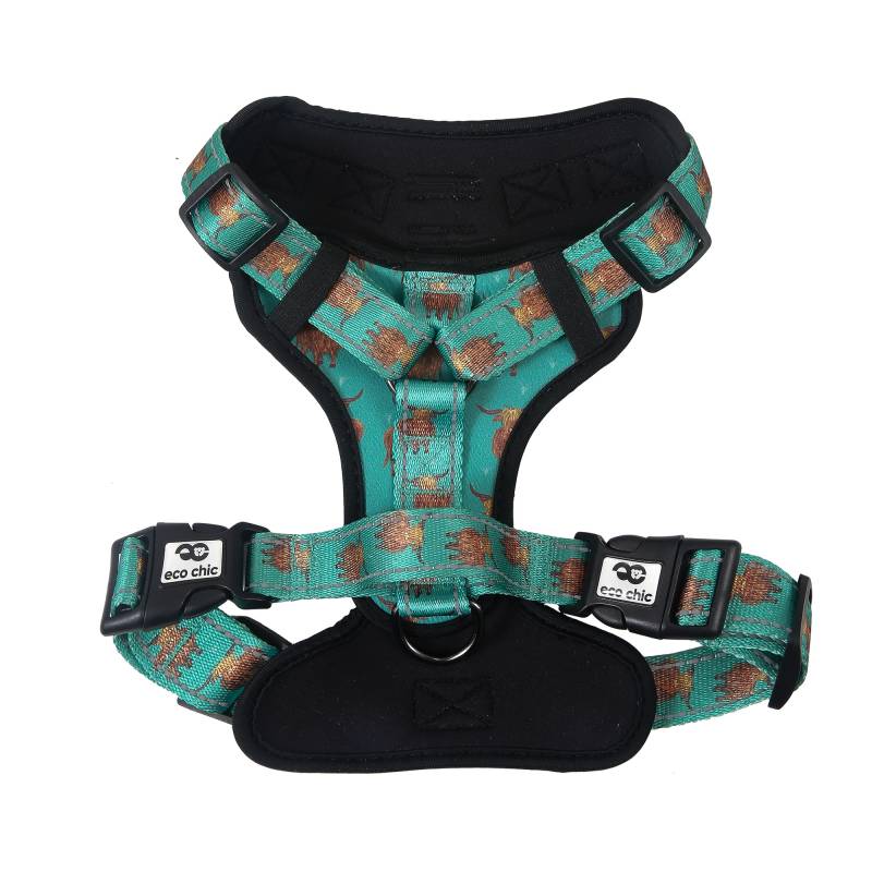 Eco Chic Teal Highland Cow Dog Harness