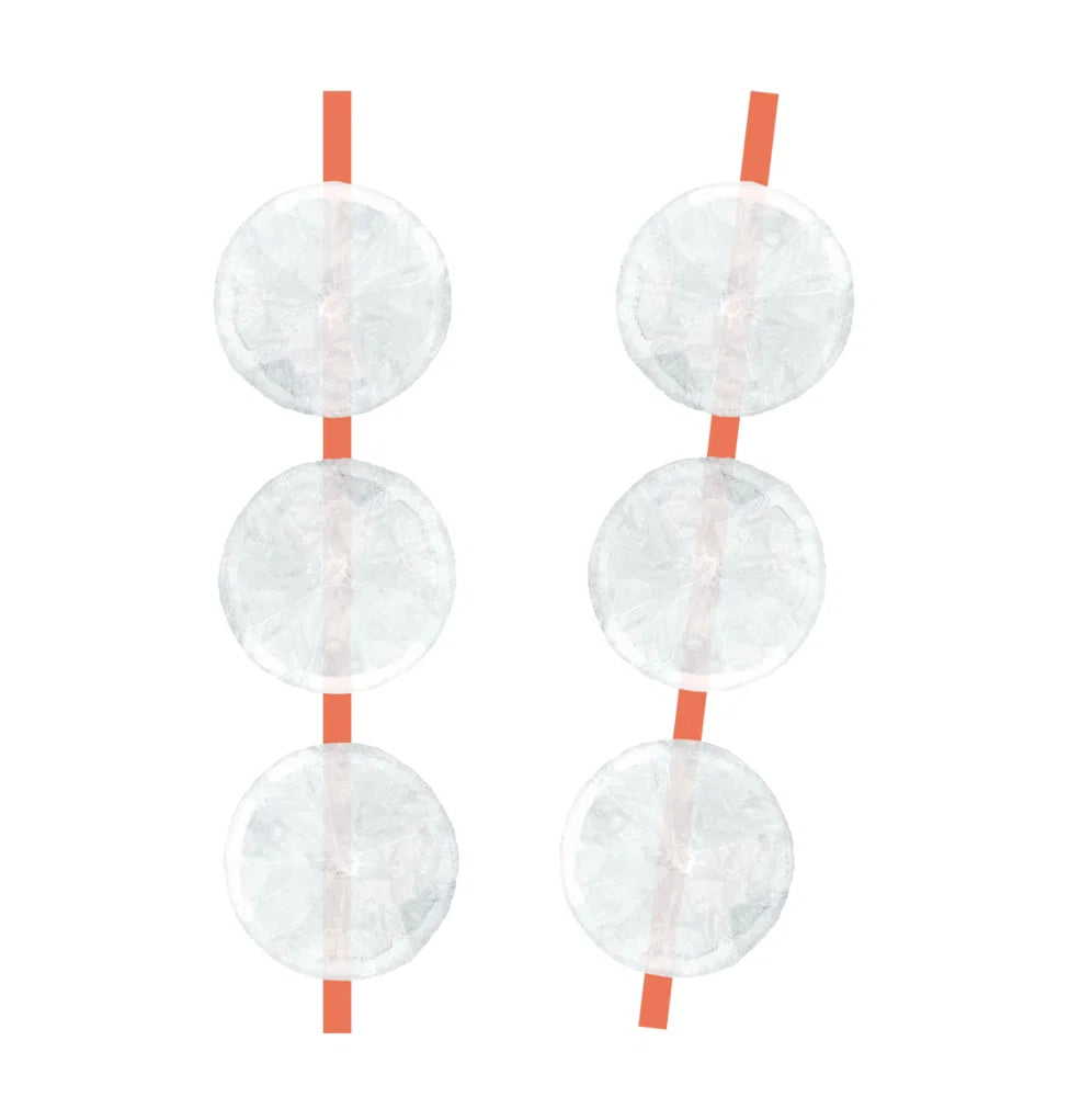 Eddingtons Epicurean Citrus Slices Silicone Ice Cube Mould & Straw Set