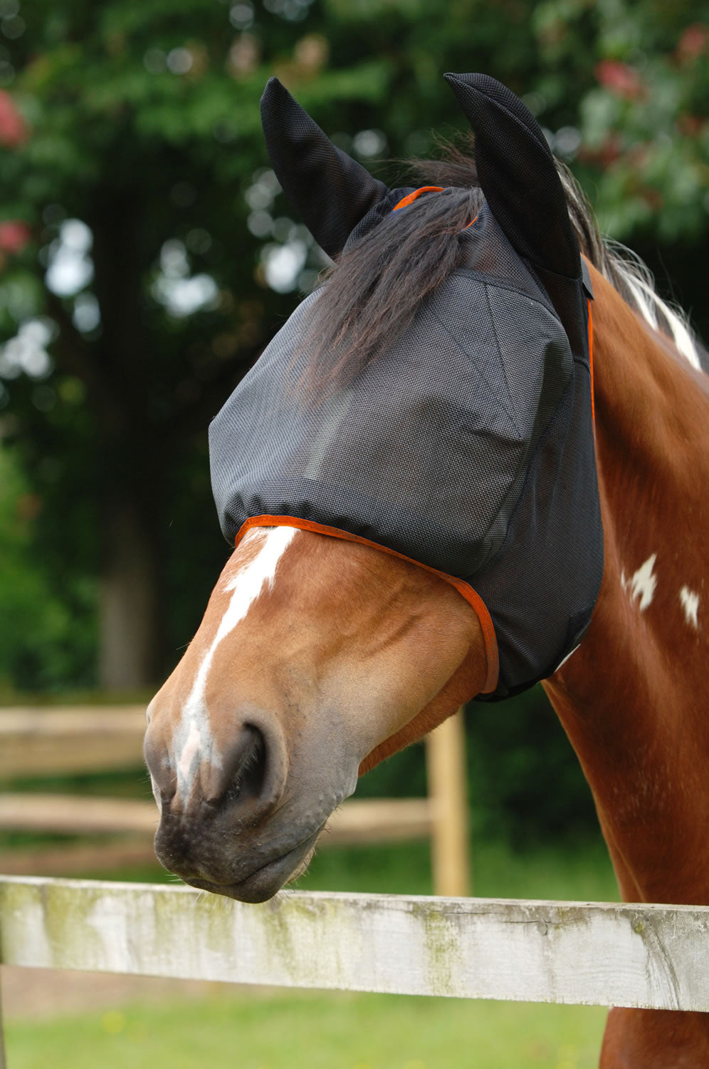 Equilibrium Field Relief Midi Fly Mask ears