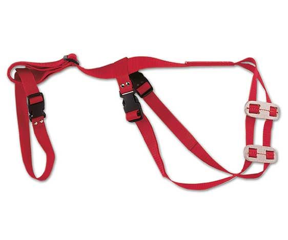 Cox & Ritchey Ewe Truss