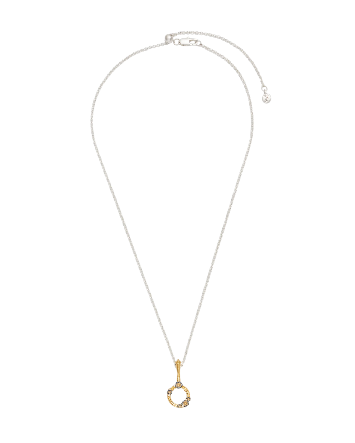Fable Larkspur Magnifying Glass Necklace in Gold featuring hand-painted larkspur flowers and white CZ stones