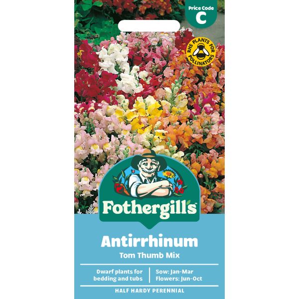 Fothergill's Antirrhinum Tom Thumb Mixed Seeds