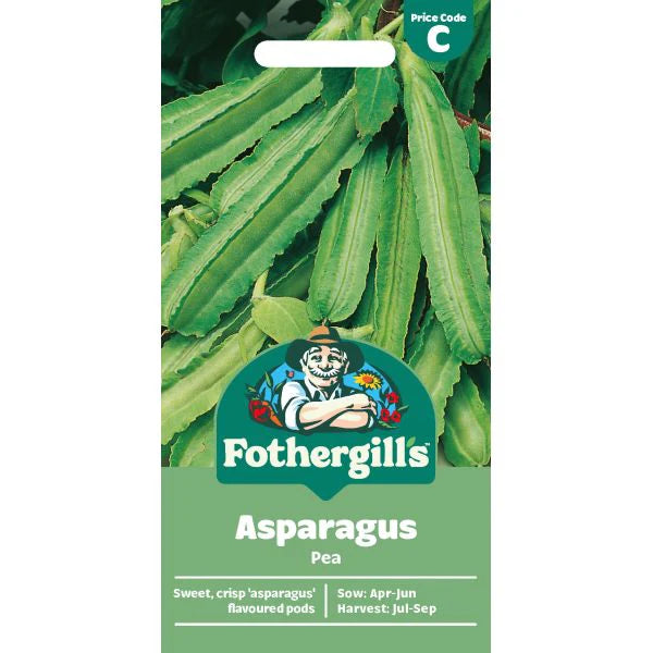 small green winged Asparagus Pea pods ready for harvesting.